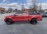 2010 Ford F150 Platinums