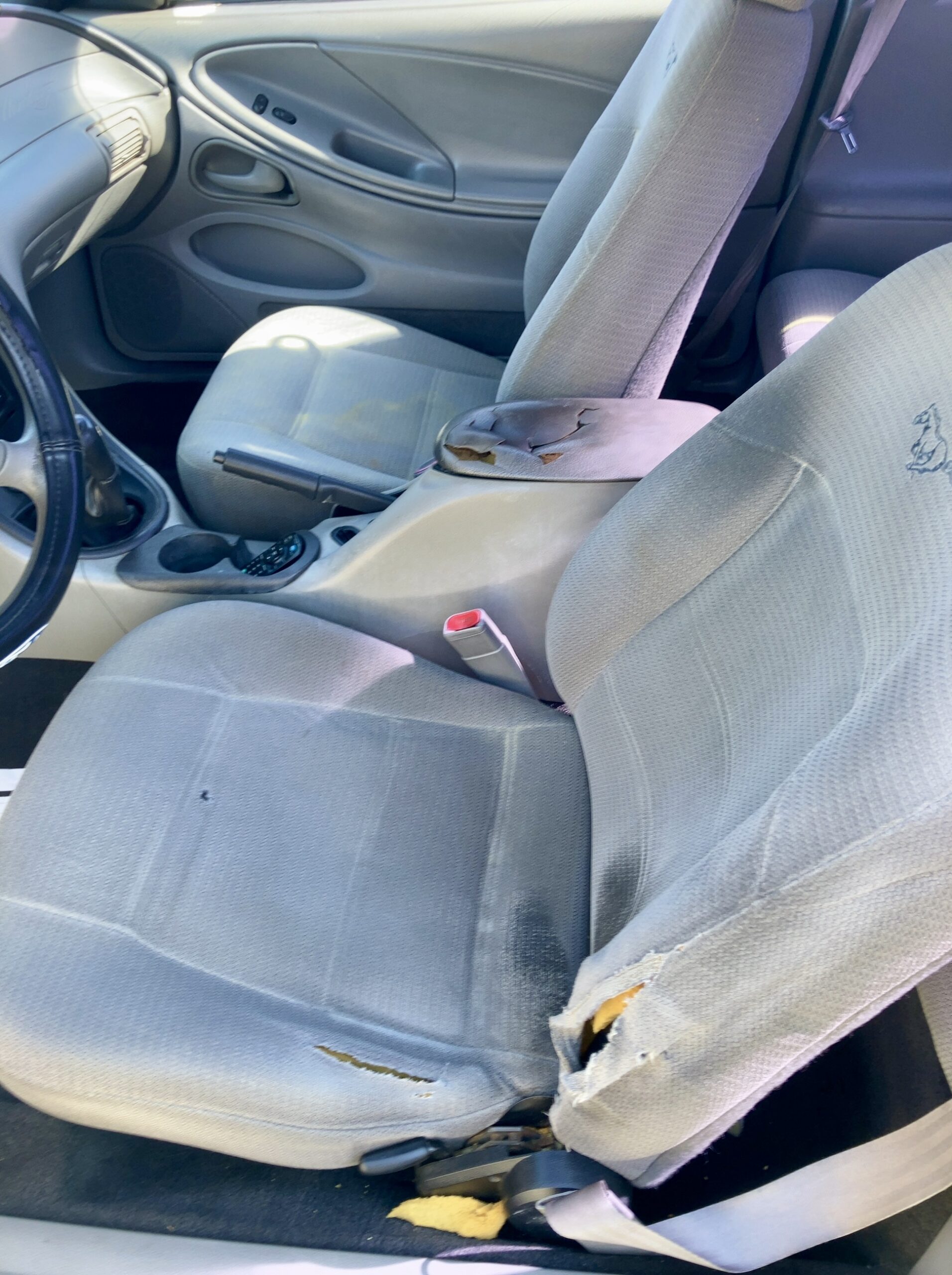1999 Mustang Coupe